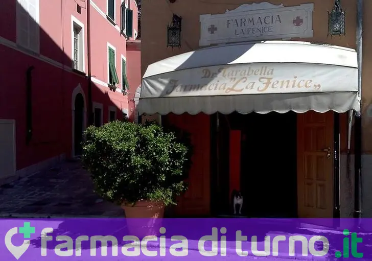 Farmacia La Fenice Dott Tarabella